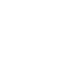 Brand Logo 2